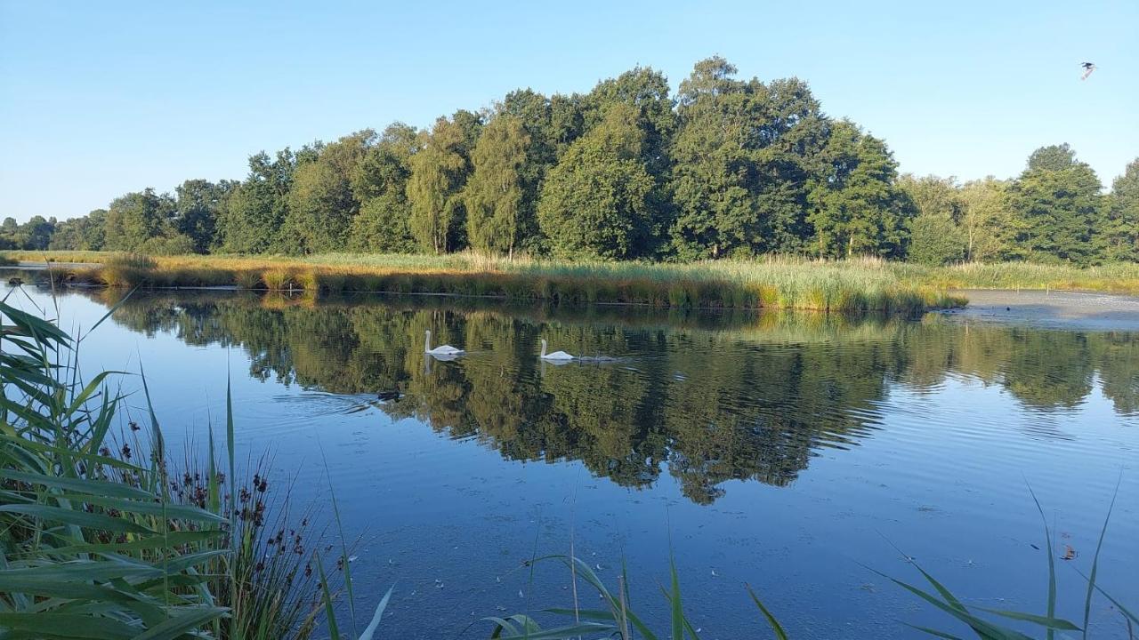 Helle Ferienwohnung In Nettetal Bei Venlo Екстериор снимка