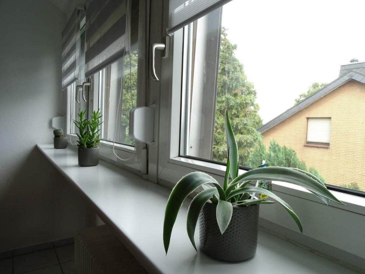 Helle Ferienwohnung In Nettetal Bei Venlo Екстериор снимка